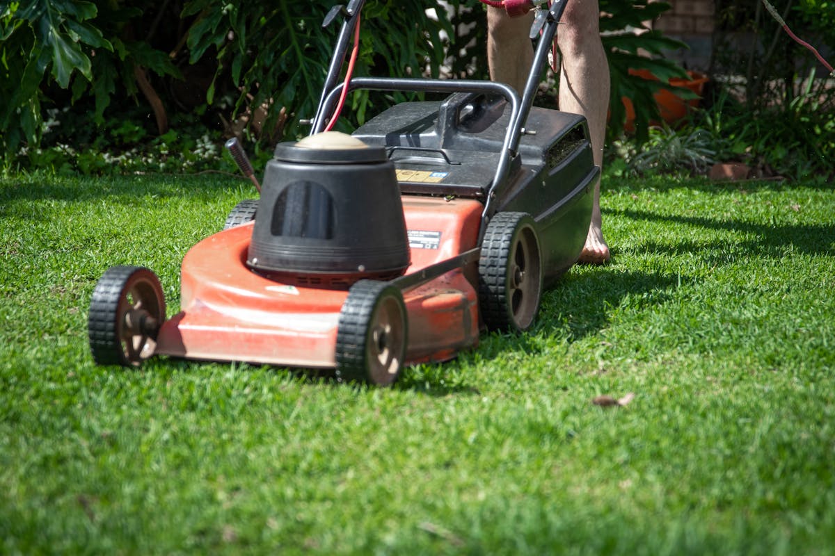Clean lawn with sharp edges — [DEMO] replace with real job photo