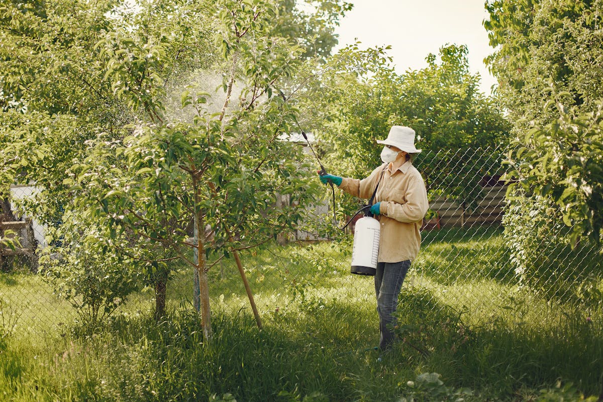 Lawn fertilizing treatment Sandpoint Idaho